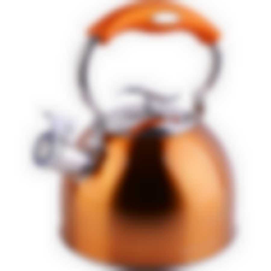 Чайник 2,5 л со свистком нерж MB