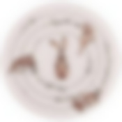 Тарелка закусочная lefard Счастье есть 20,5см 