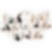 Чайный набор lefard Парижские коты на 6 пер. 12 пр. 300 мл 