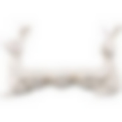 Подставка под яйца 22.5*7*13 см. 