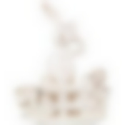 Подставка под яйца 14.5*7*16 см. 