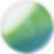 Тарелка обеденная Alabaster green диаметр 28 см, высота 2 cм