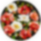 Блюдо для яиц коллекция Маки 20.5*20.5*2 см