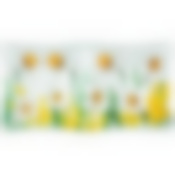 Менажница коллекция Happy day 20,5*11,5 см