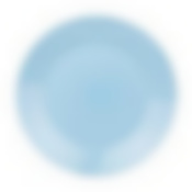 Тарелка обеденная ЛИЛИ ЛАЙТ БЛЮ 25см