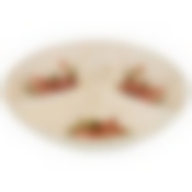 Менажница 3-х секционная Корейская роза 22*22*7,5 см.