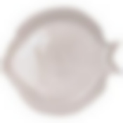 Блюдо Fish pearl 30см