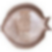 Блюдо Fish sand 30х27х3,5см