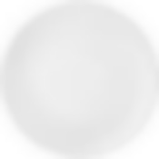 Тарелка обеденная София отводка платина 28 см., без упак.