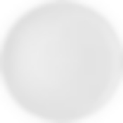 Тарелка обеденная София отводка платина 26 см