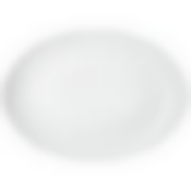 Блюдо овальное София 24*17 см., без упак.