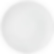Тарелка обеденная София 28 см., без упак.