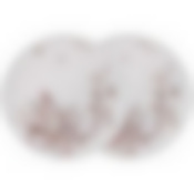 Набор тарелок обеденных lefard 'white flower" 2 шт. 25,5 см 