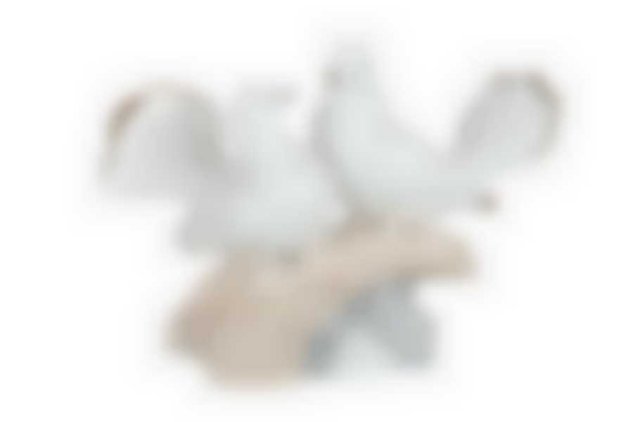 ФИГУРКА "ГОЛУБИ" 16*9 СМ.ВЫСОТА=12 СМ.