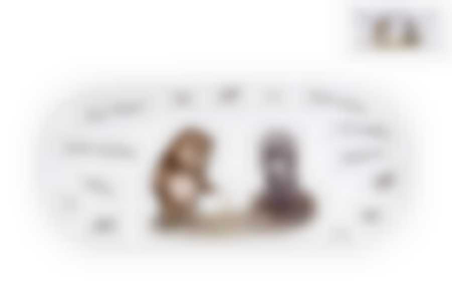 Блюдо овальное 25х11.5см Ежик в тумане