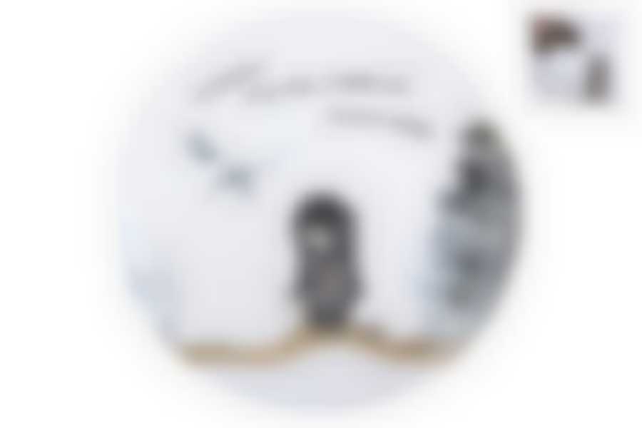 Тарелка десертная 19см Ежик в тумане