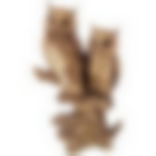 Статуэтка Совы 16.5*11*26 см. серия Bronze classic 