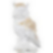 Статуэтка Сова 12,5*11,5*22,5 см. коллекция Flower fantasy 