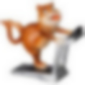 Фигурка Котофей 18*7,5*16 см. коллекция Озорные коты 