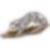 Фигурка Белый тигр 36*10 см. высота=15 см 