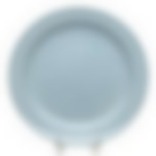 Тарелка мелкая ф.Принц 265 мм Акварель светло-голубая Башкирский фарфор