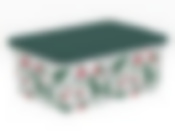 ЗИМНЯЯ БРУСНИКА КОРОБКА 3,5л