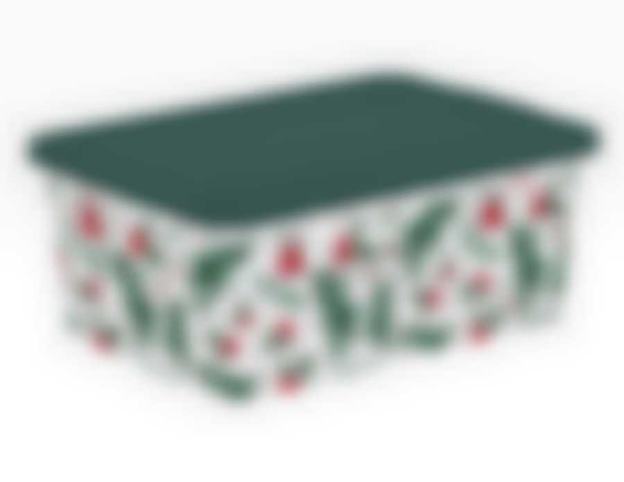 ЗИМНЯЯ БРУСНИКА КОРОБКА 3,5л