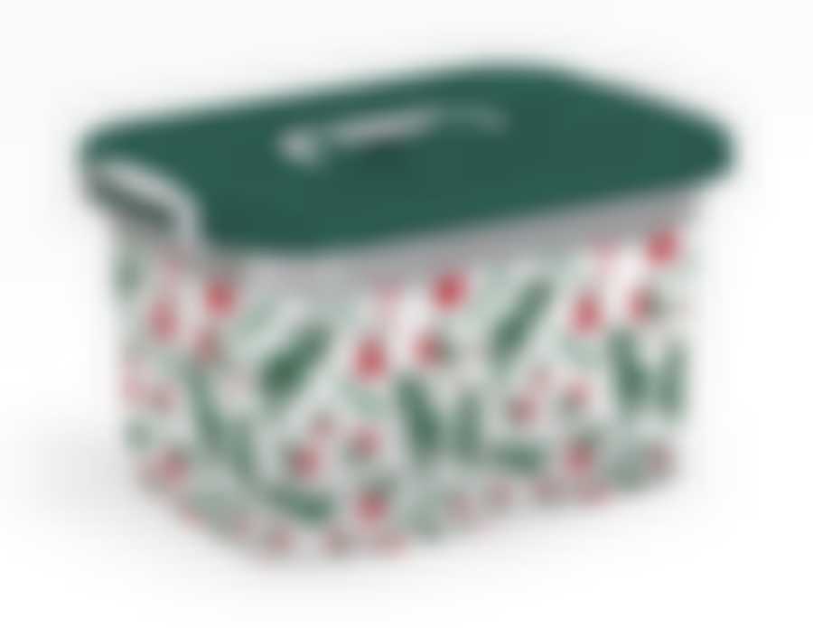 ЗИМНЯЯ БРУСНИКА КОНТЕЙНЕР ДЛЯ ХРАНЕНИЯ 15л