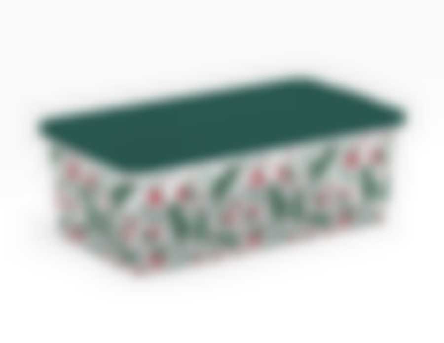 ЗИМНЯЯ БРУСНИКА КОРОБКА 5,5л