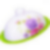 Масленка с крышкой 2 предмета LR