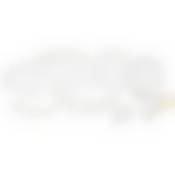 Столовый сервиз Astra gold 24 пр