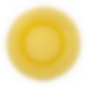 Тарелка обеденная PICARDIE AMBER 23см