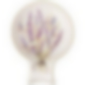 ПОДСТАВКА ПОД ЛОЖКУ "ДУША ПРОВАНСА" 15*11,5 СМ. ВЫСОТА=2,5 СМ