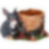 Кашпо Зайка у пня 23*16*15 см