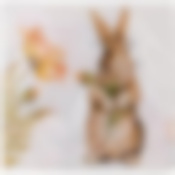 Салфетки бумажные lefard Sense 33*33см, 3слоя, 20шт