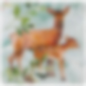 Салфетки бумажные lefard Лесная сказка 33*33см, 3слоя, 20шт