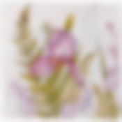 Салфетки бумажные lefard Irises 33*33см, 3слоя, 20шт