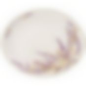 БЛЮДО ОВАЛЬНОЕ "ДУША ПРОВАНСА" 31,5*25,5