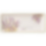 БЛЮДО "ДУША ПРОВАНСА" 28*12 СМ. ВЫСОТА=3