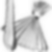 Вилки столовые 12шт.MB