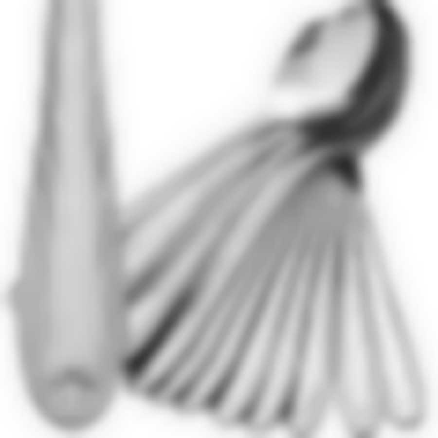 Ложки столовые 12шт.MB