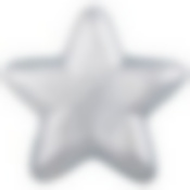 Блюдо Star silver shiny 22см