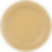 Тарелка обеденная lefard tint 24 см 