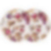 Набор тарелок обеденных lefard Village инжир 2 шт. 25,5 см 