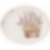 Блюдо овальное Душа прованса 31,5*25,5 см. высота=3 см. 