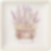 Блюдо Душа прованса 28*28*4 см 