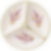 Менажница 3-х секционная Душа прованса 22*22*8 см. 