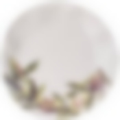 Тарелка обеденная bronco Avocado 26 см 