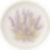 Тарелка Душа прованса 21*21 см. высота=2,5 см. 