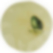 Тарелка закусочная bronco Avocado 21 см зелёная 